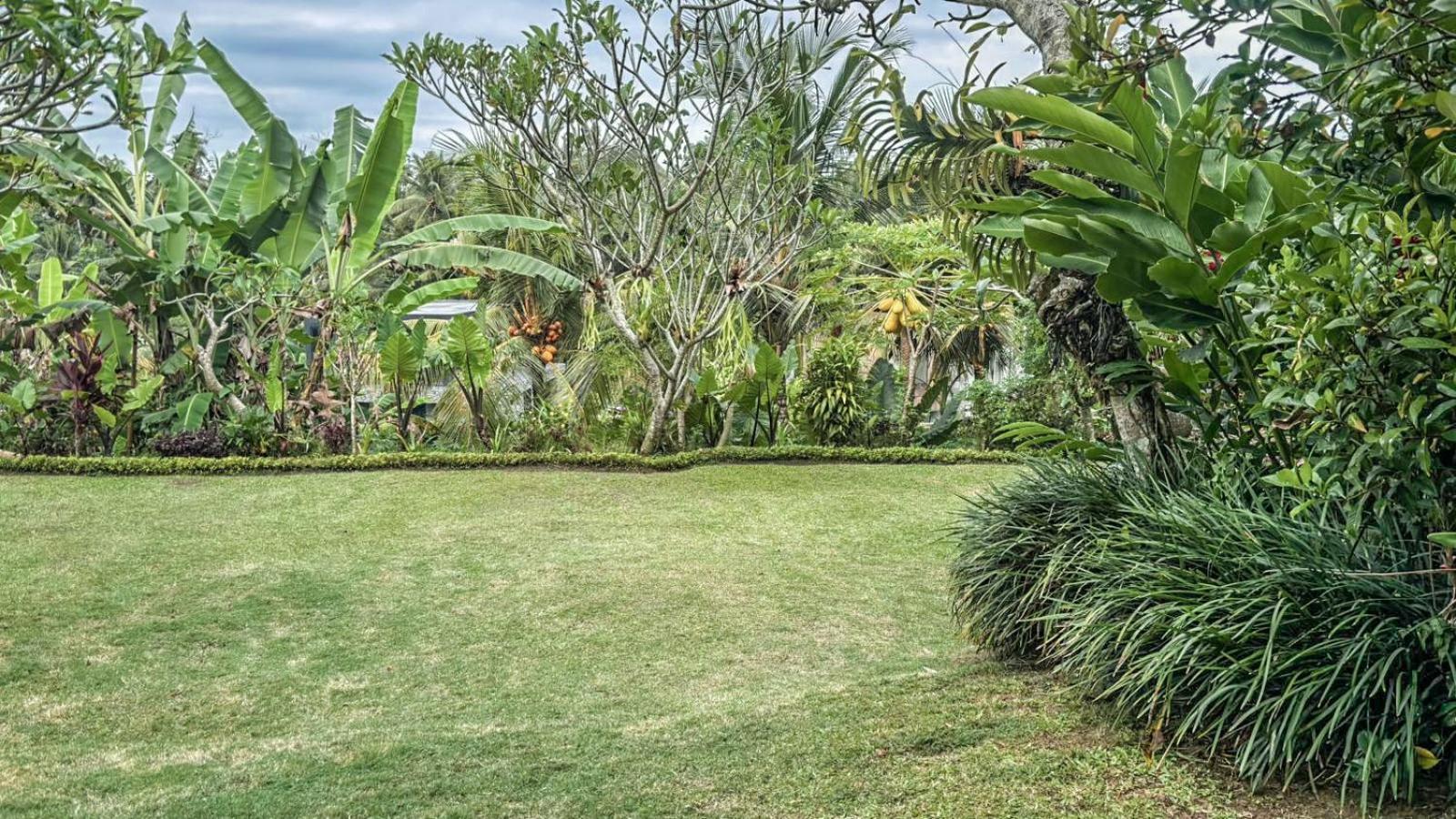 Dlobong Suite Ubud Εξωτερικό φωτογραφία