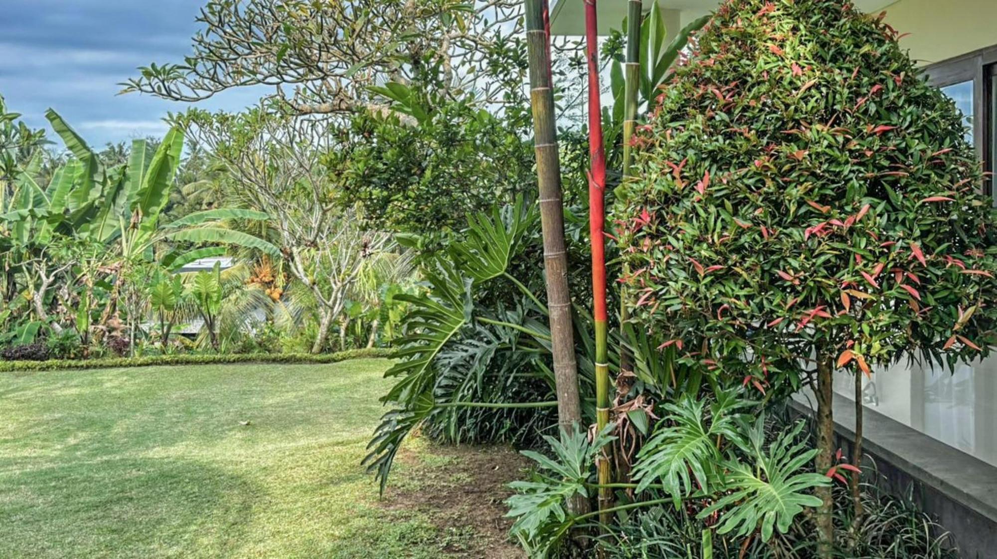 Dlobong Suite Ubud Εξωτερικό φωτογραφία